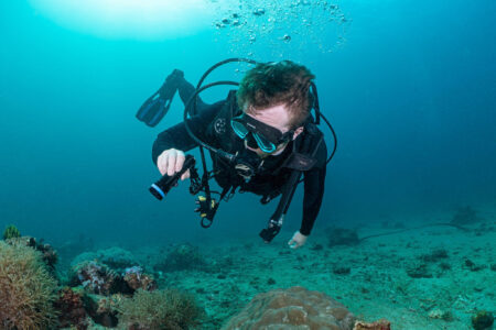 article image - 